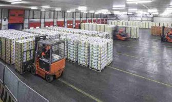 40041485025-b-56a-3f-2512-m_11zon